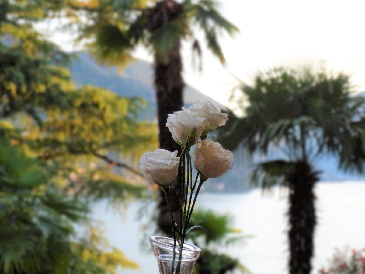 Hotel Firenze Lugano