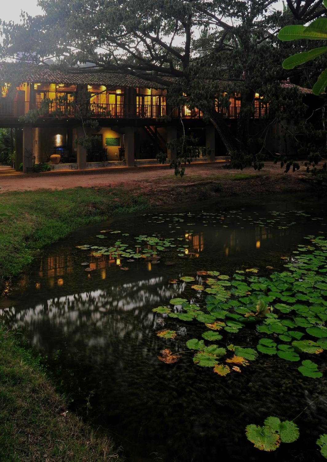 Dunes Unawatuna Hotel