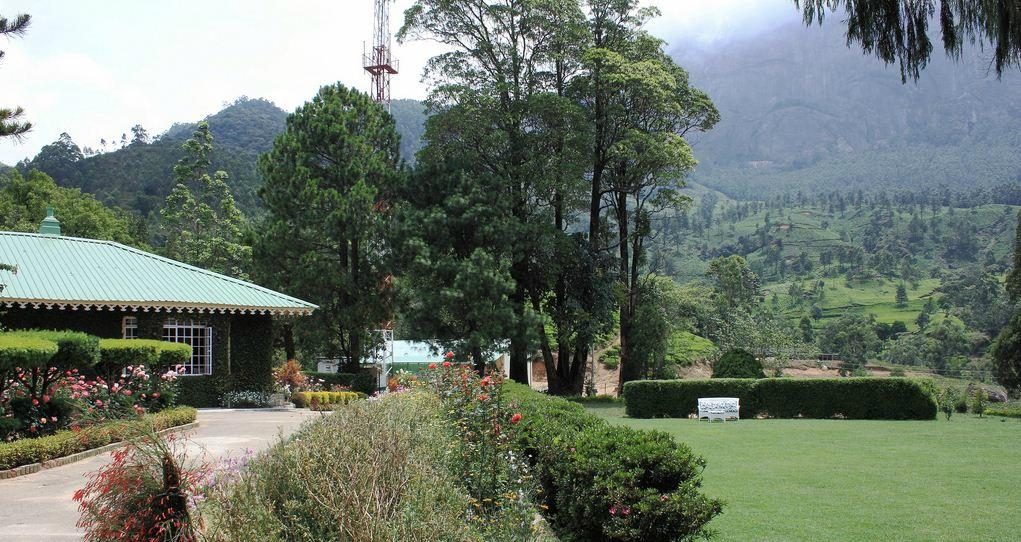 Briar Tea Bungalows - Munnar