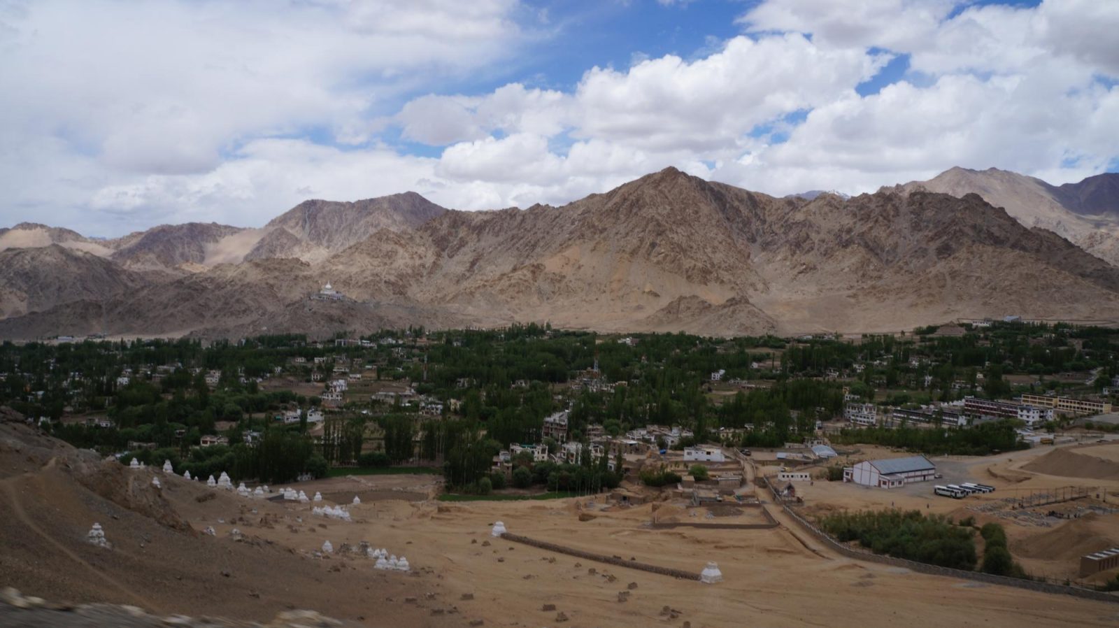 Hotel Leh Castle