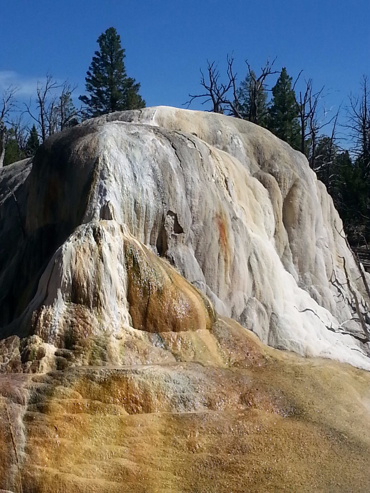 Yellowstone RV Park & Campground