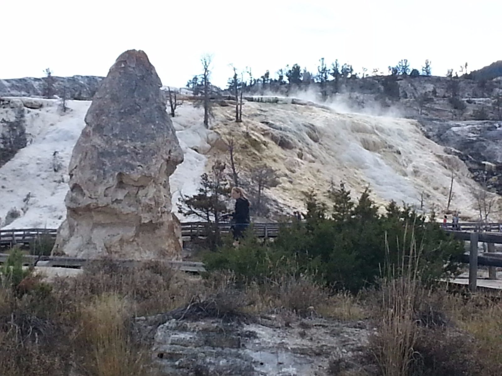 Yellowstone RV Park & Campground