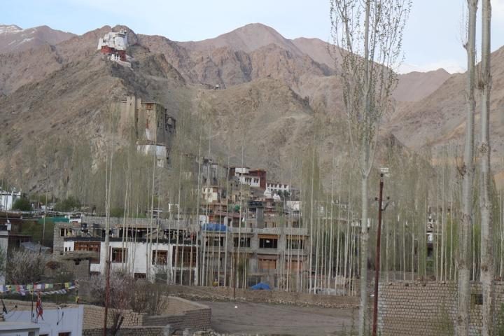 Hotel Nirvana Palace Leh