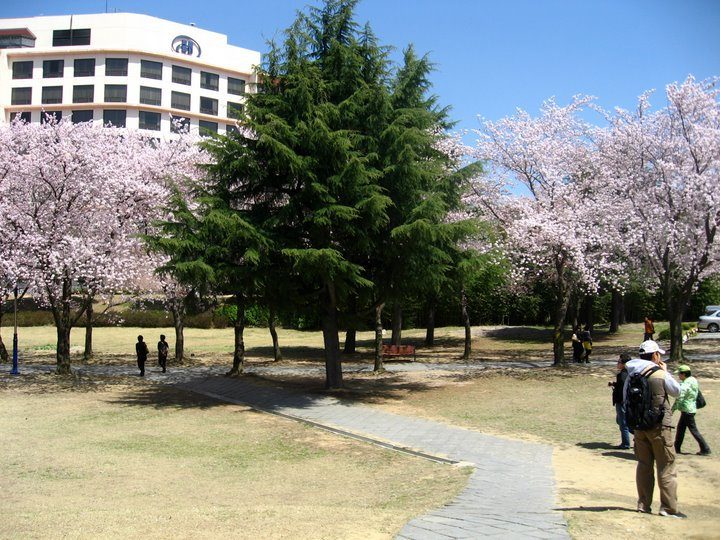 Hotel Concorde Gyeongju