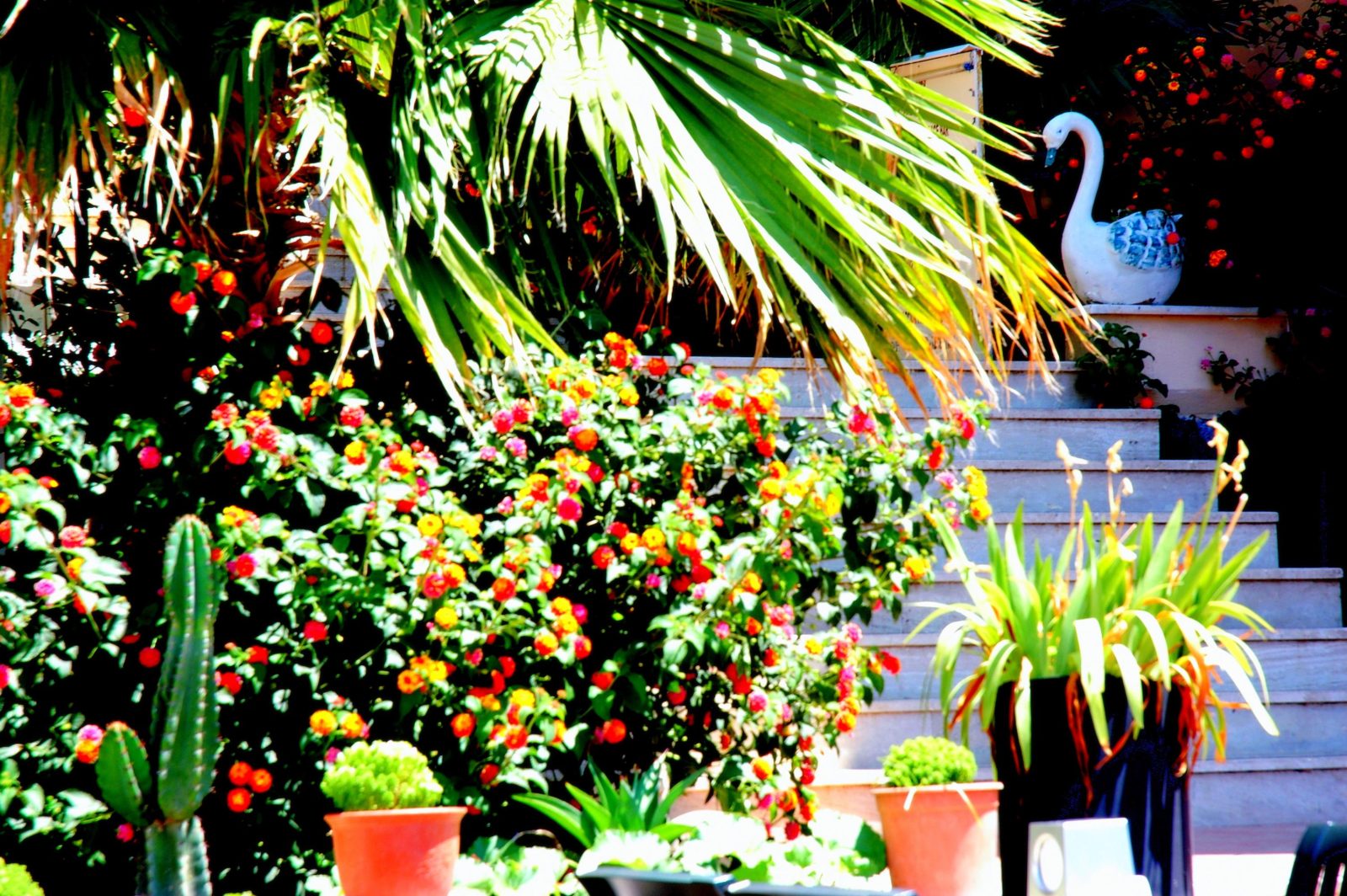 Golden Age Crystal Bodrum