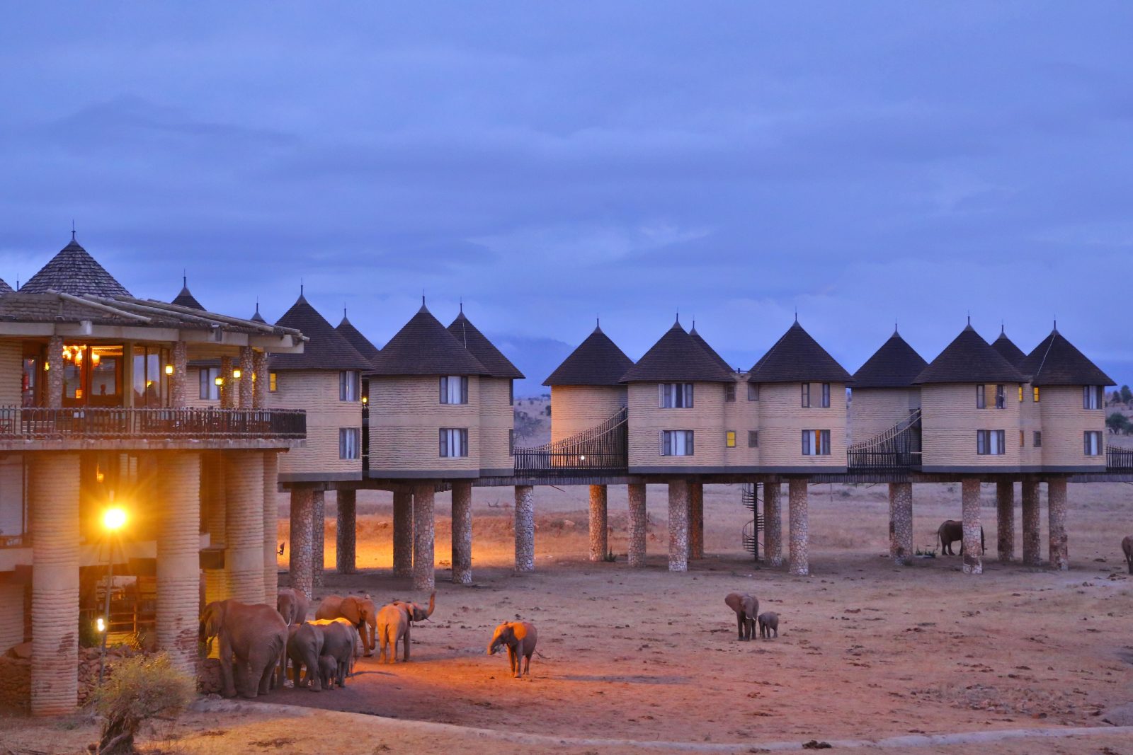 Salt Lick Safari Lodge
