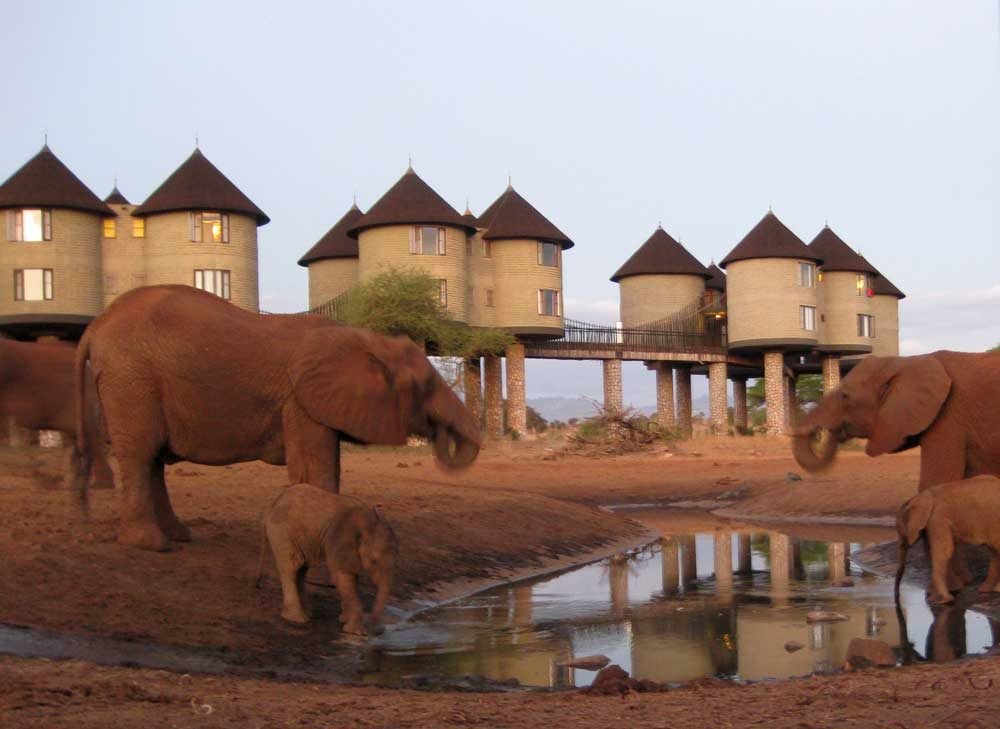 Salt Lick Safari Lodge
