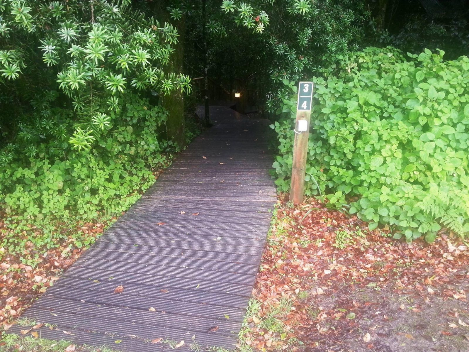 SAN Parks Knysna Forest Camping Decks
