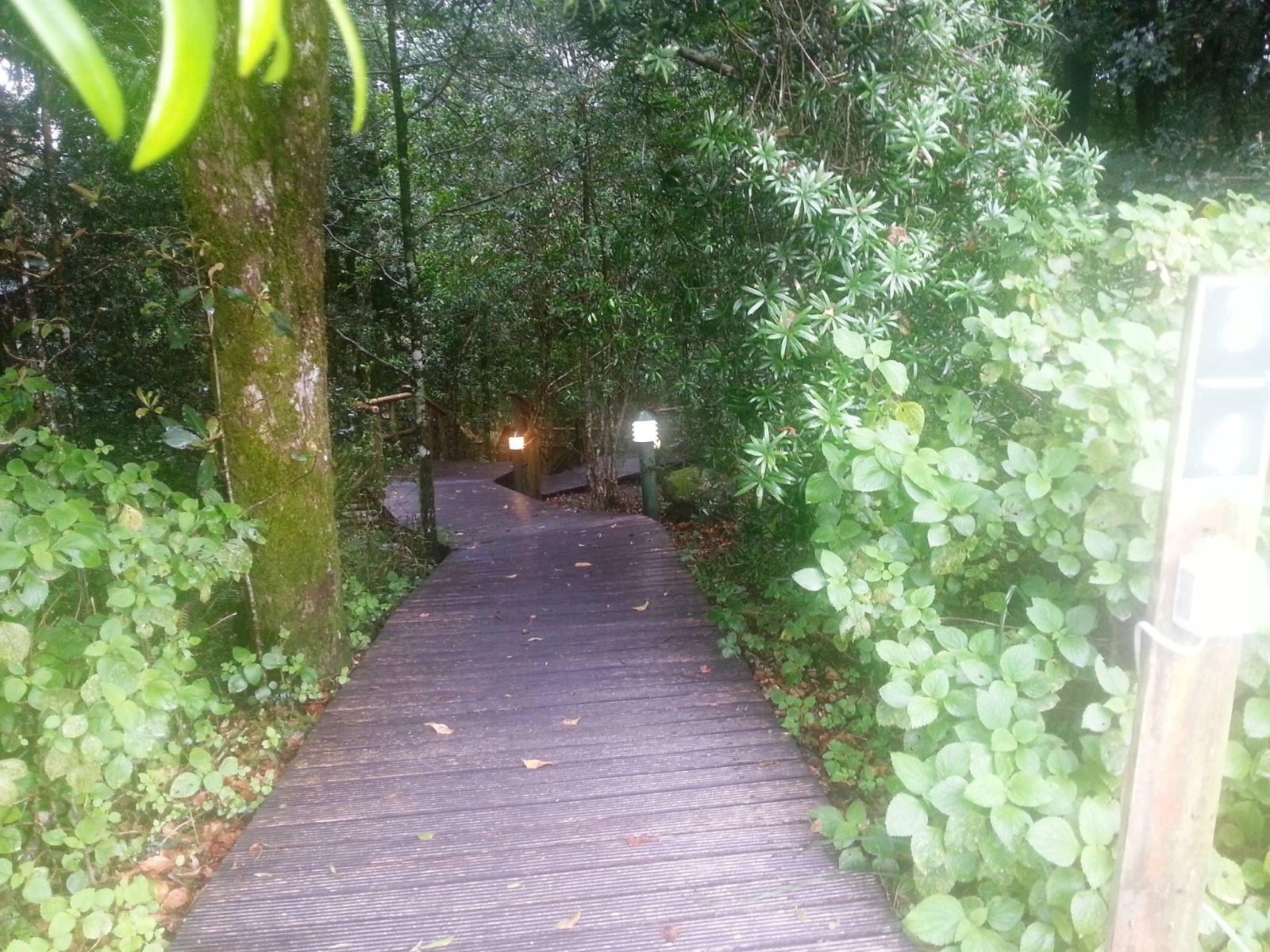 SAN Parks Knysna Forest Camping Decks