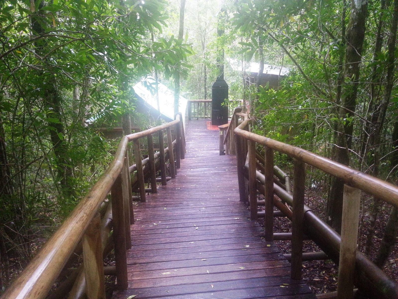 SAN Parks Knysna Forest Camping Decks