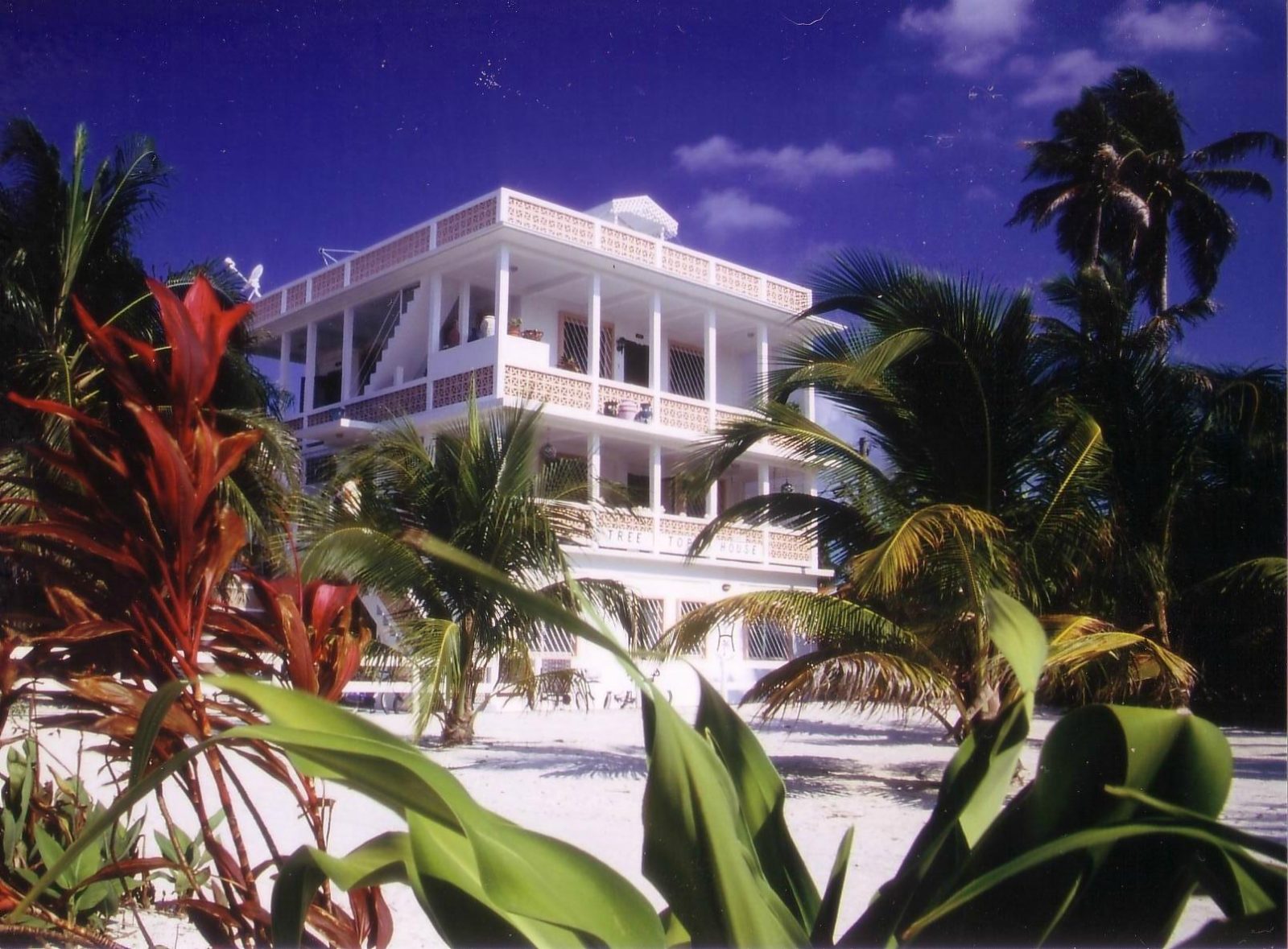 Tree Tops Hotel