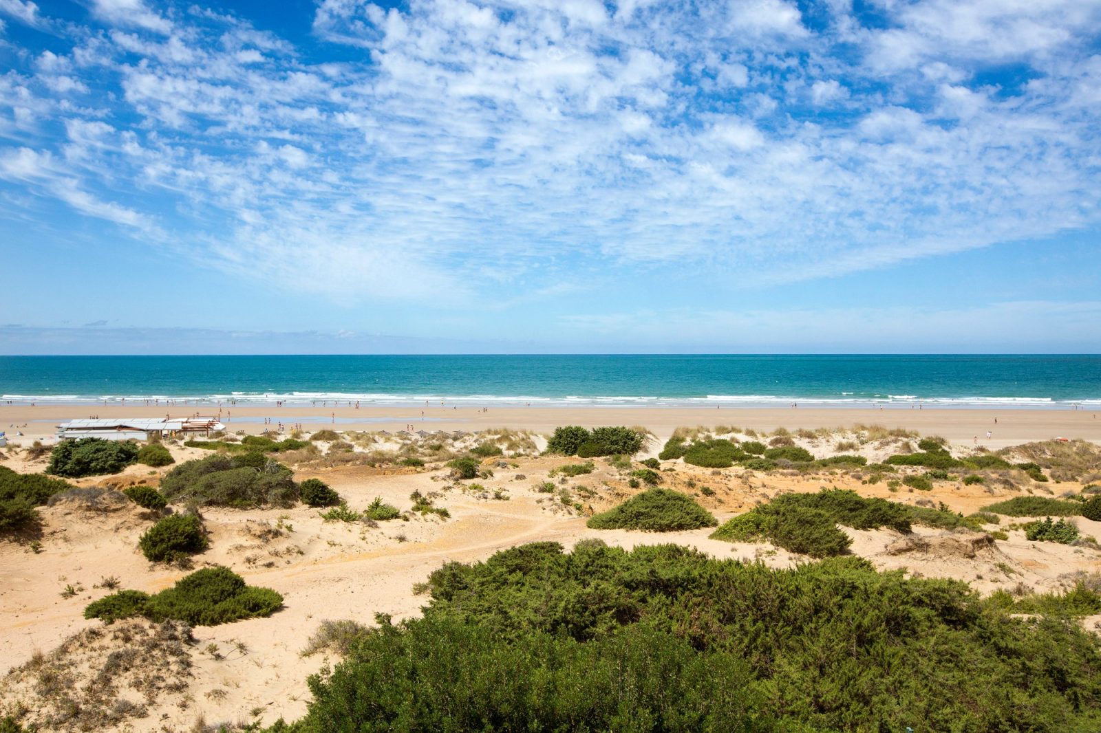 barrosa palace hotel