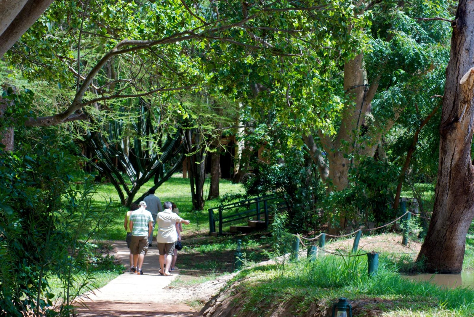 voyager ziwani, tsavo west hotel tsavo national park west