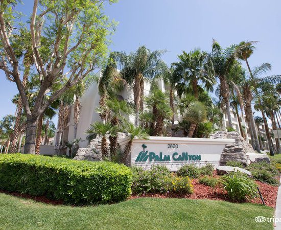 palm canyon hotel palm springs