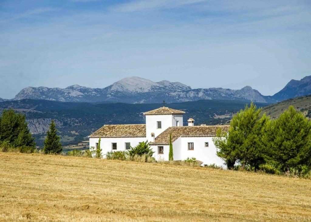 arriadh hotel arriate