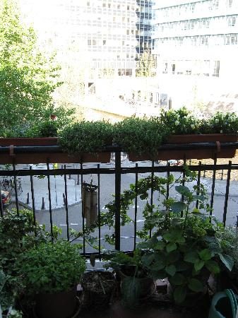 Amsterdam Bed and Breakfast