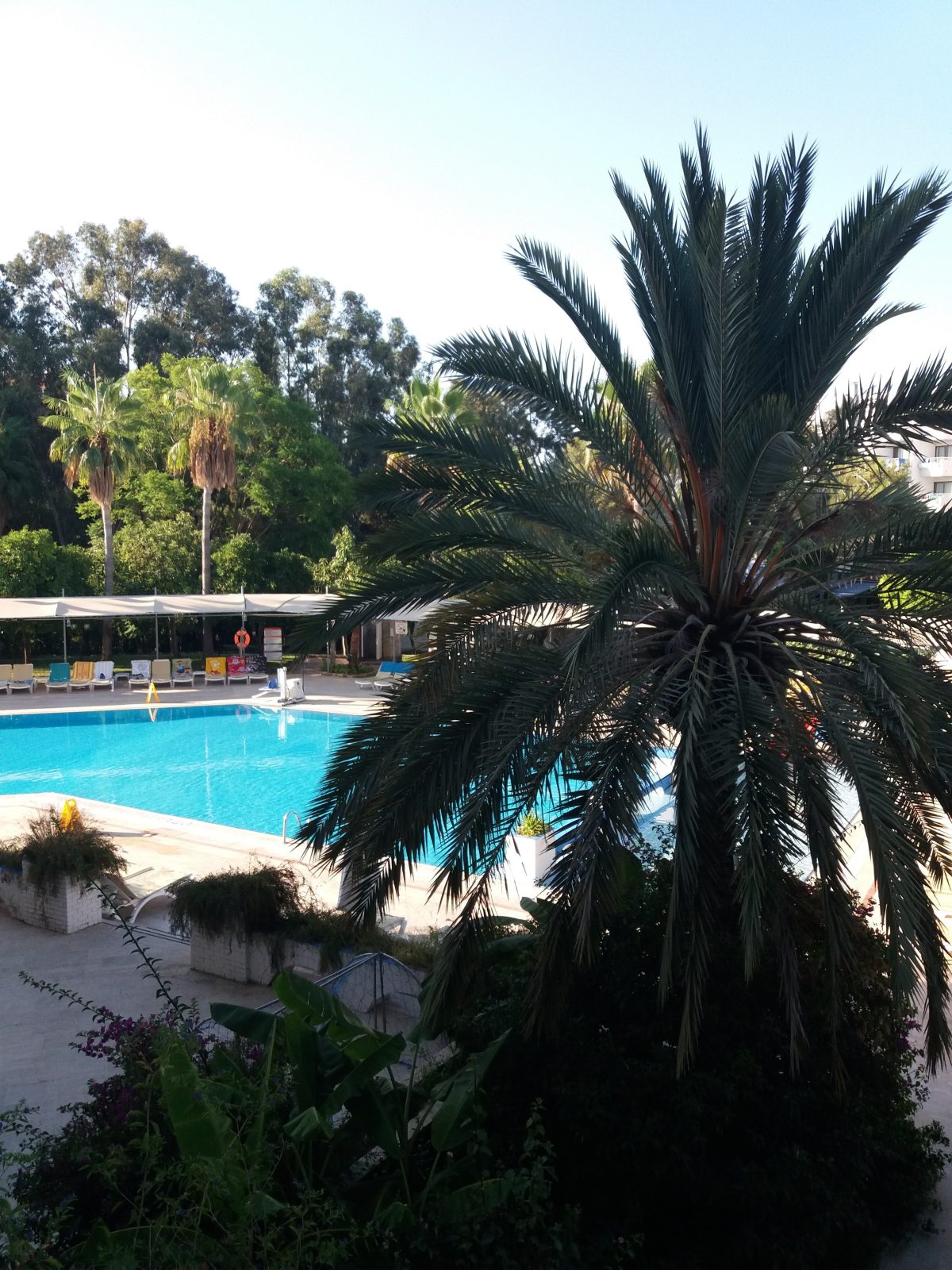 Venus Hotel