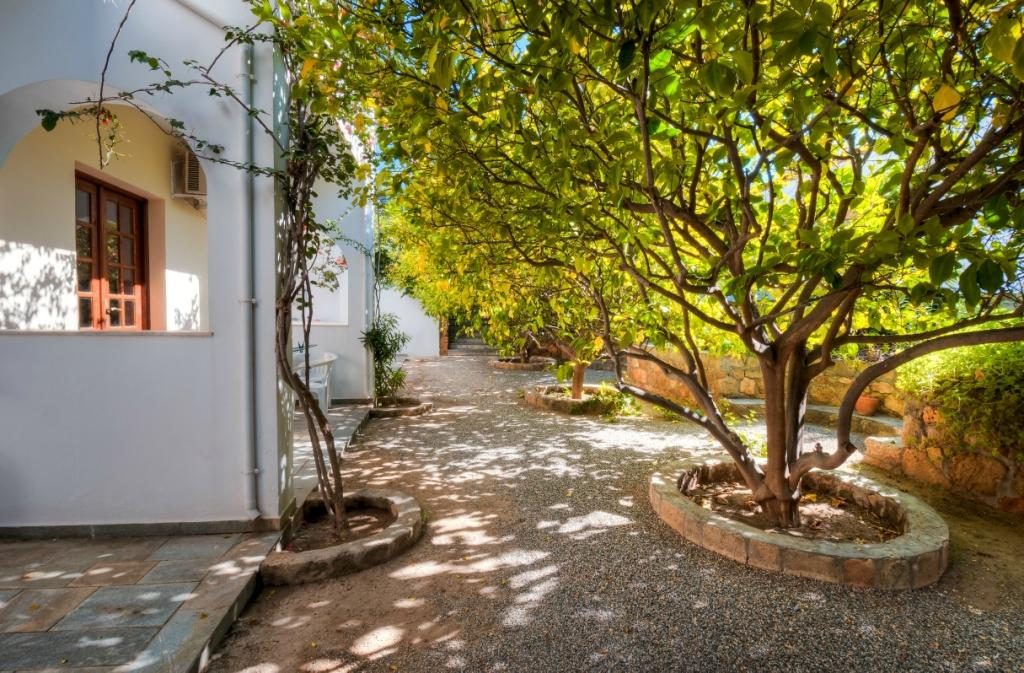 Pefkos Lemon Tree Apartments