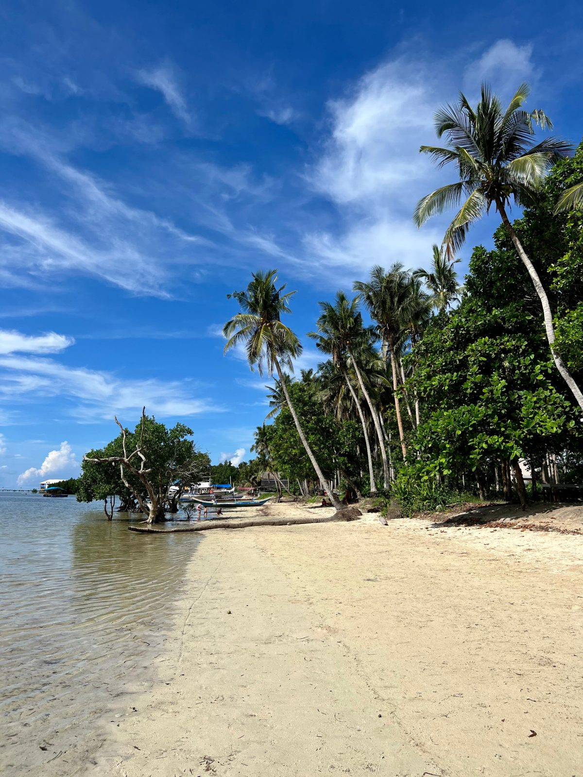 Victoria Guest House & Cottages Palawan