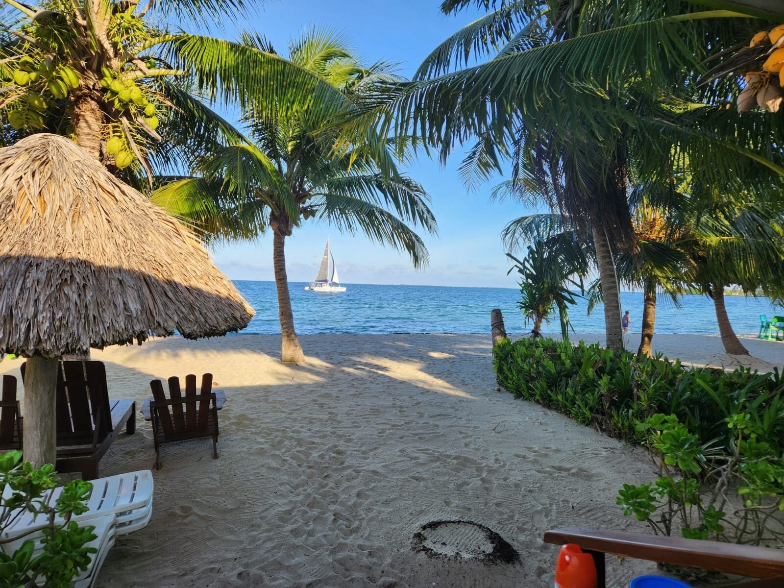 ranguana hotel placencia