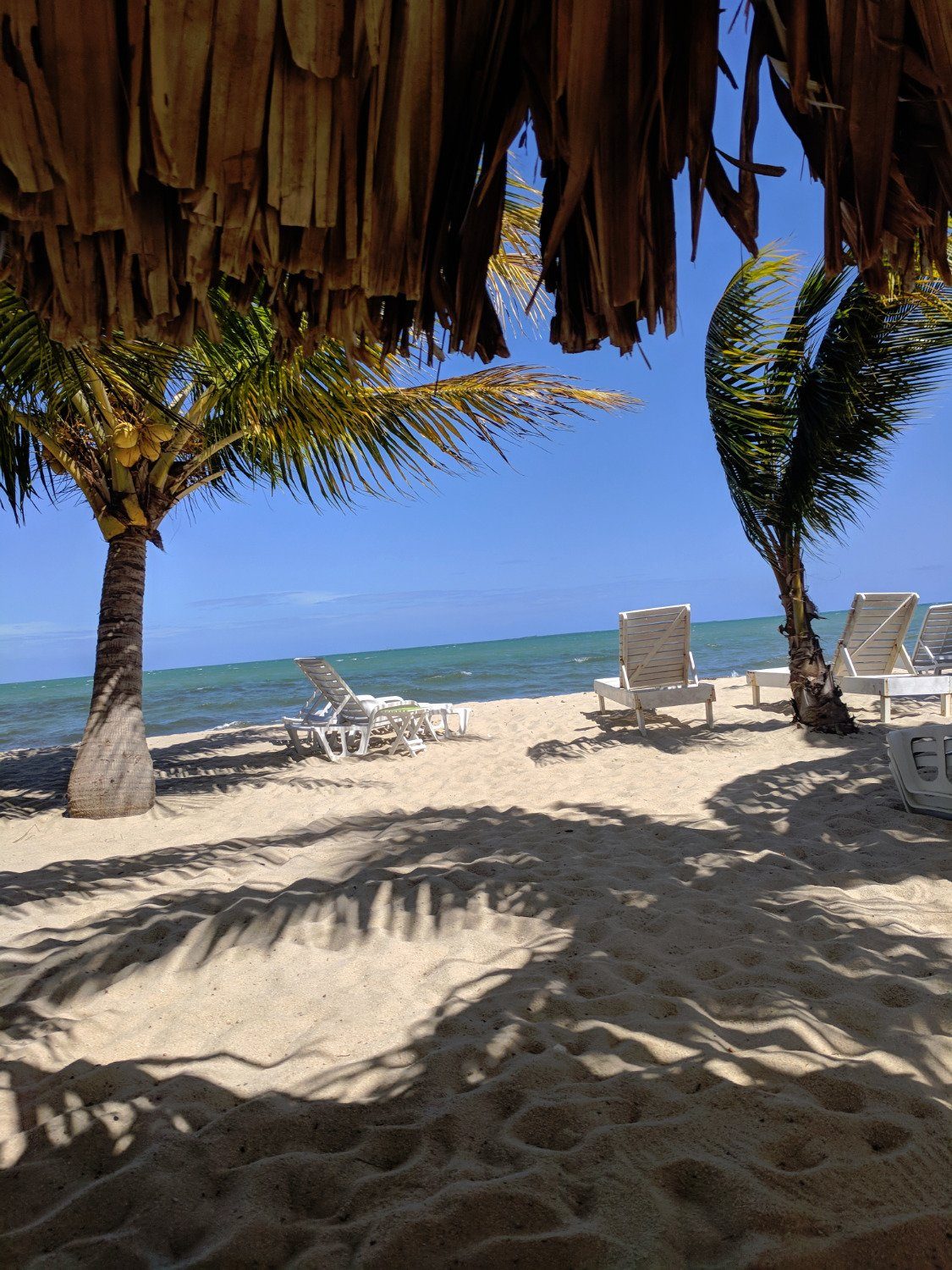 ranguana hotel placencia