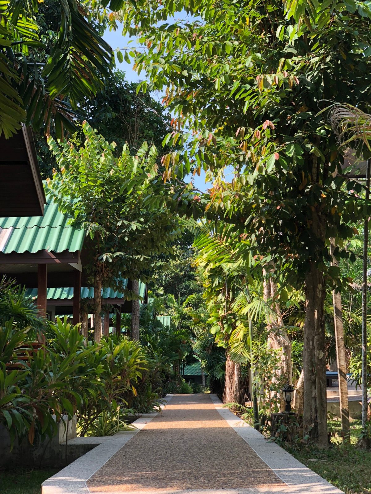 Dream Valley Resort