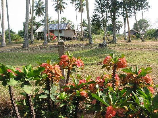 Muslim Homestay