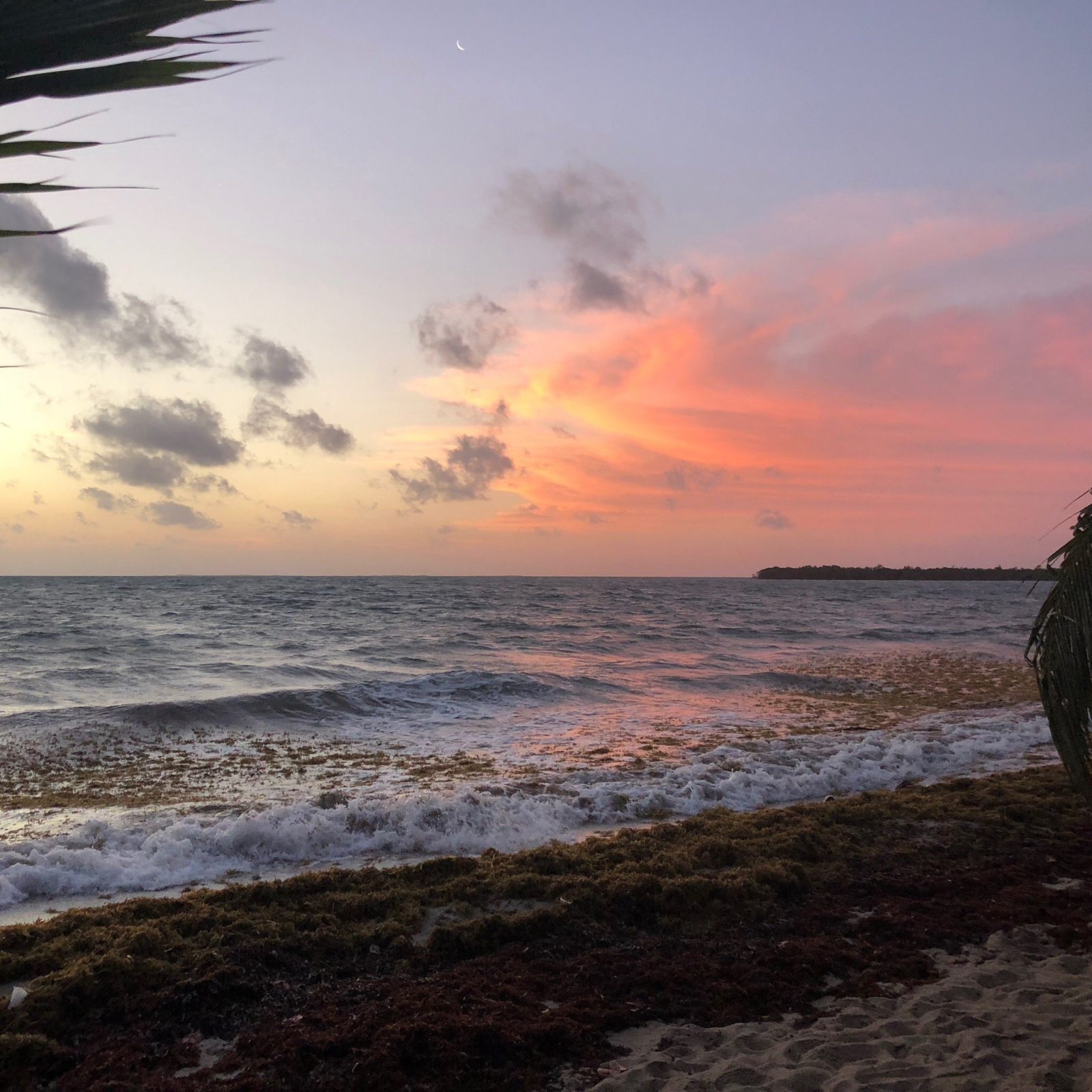 Seaspray Hotel