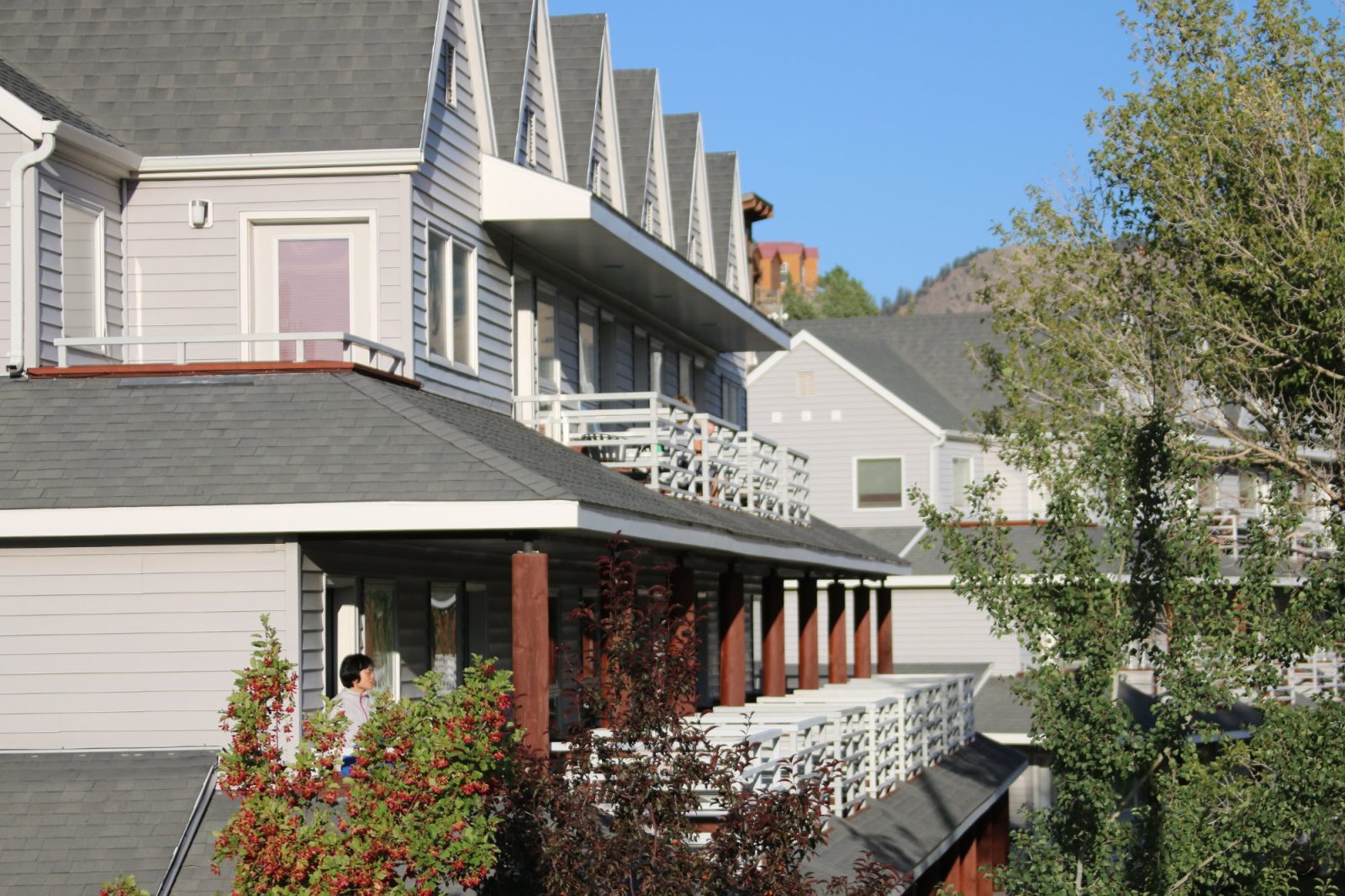 yellowstone`s absaroka hotel gardiner