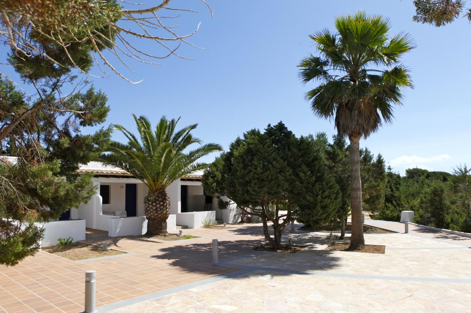 ca mari formentera