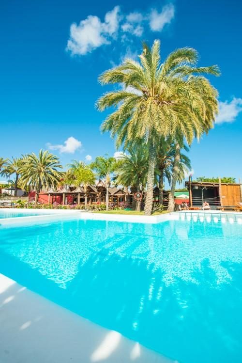 bungalows miraflor park hotel playa del ingles