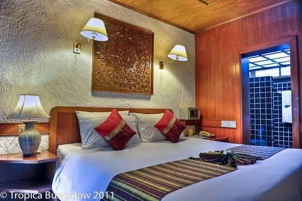 tropica hotel patong