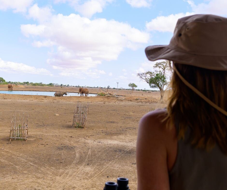 satao luxury tented camp hotel tsavo national park east