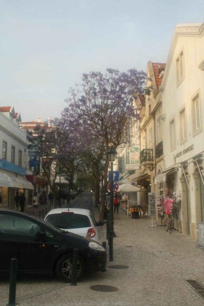 da vila hotel