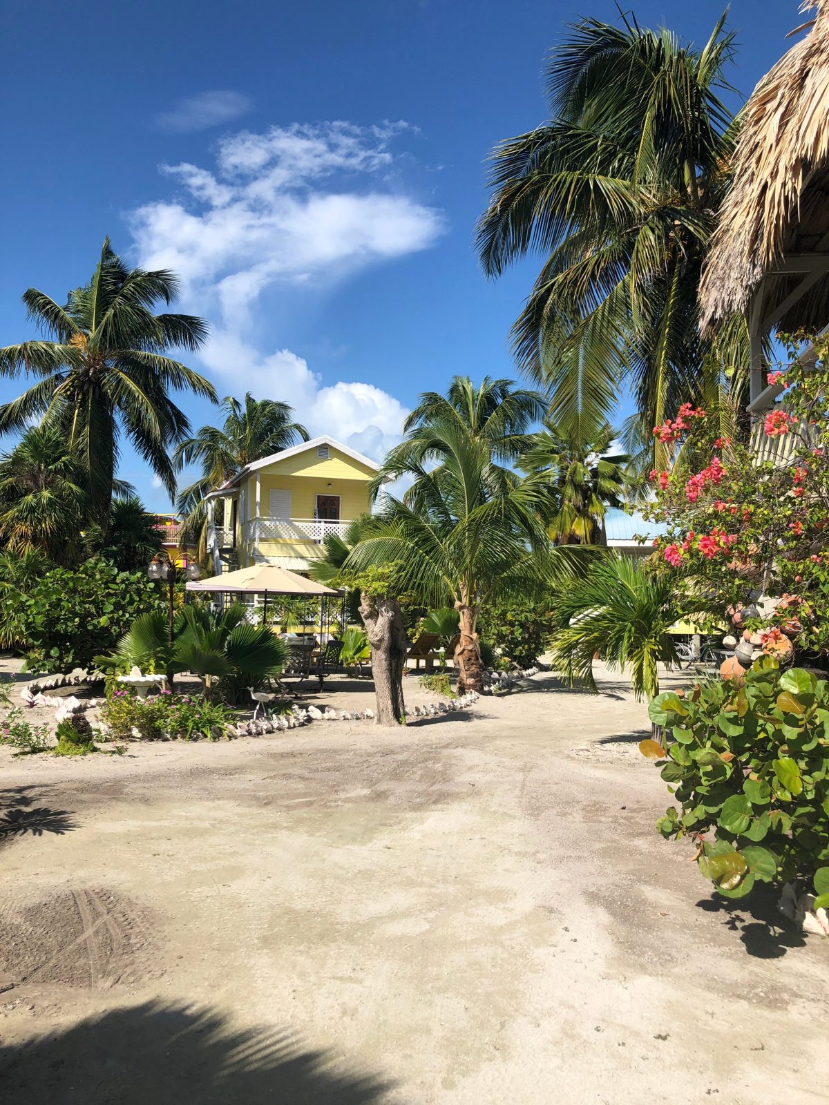 maxhapan cabanas hotel caye caulker