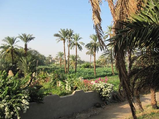 el nakhil hotel luxor
