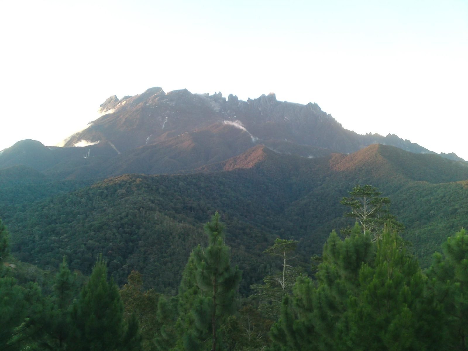 Kinabalu Rose Cabin