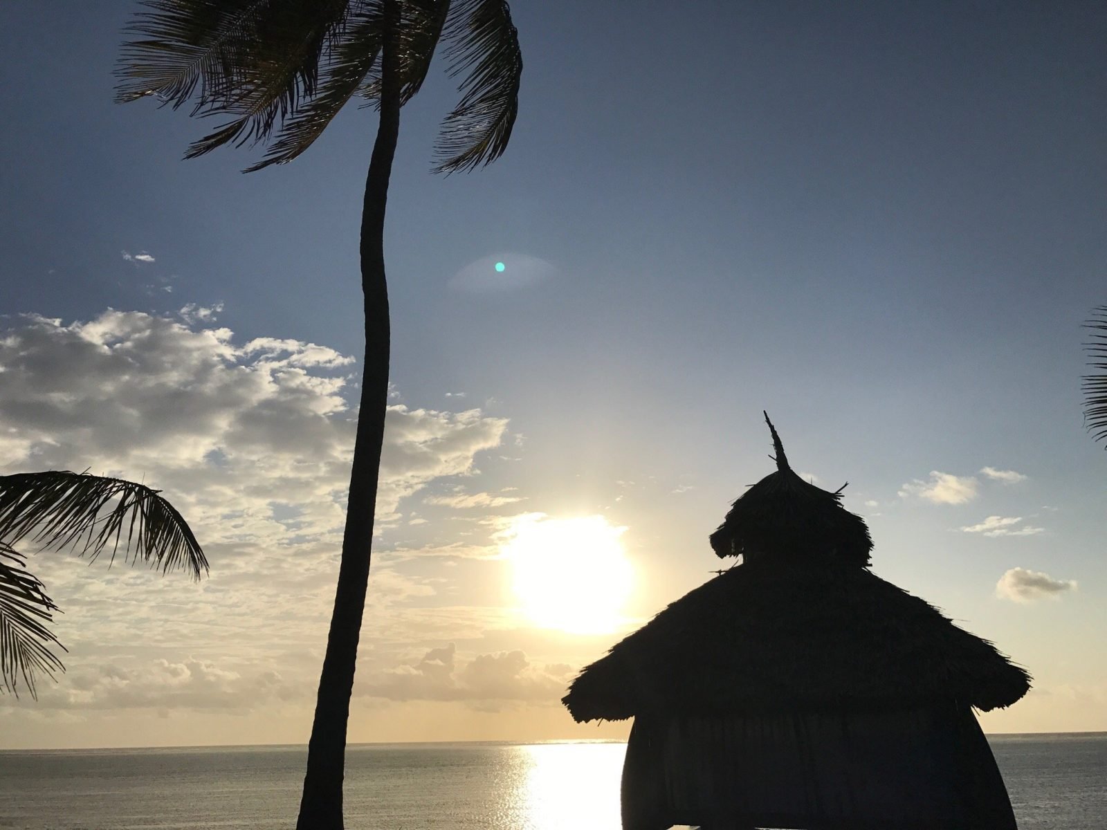 The Palms, Zanzibar