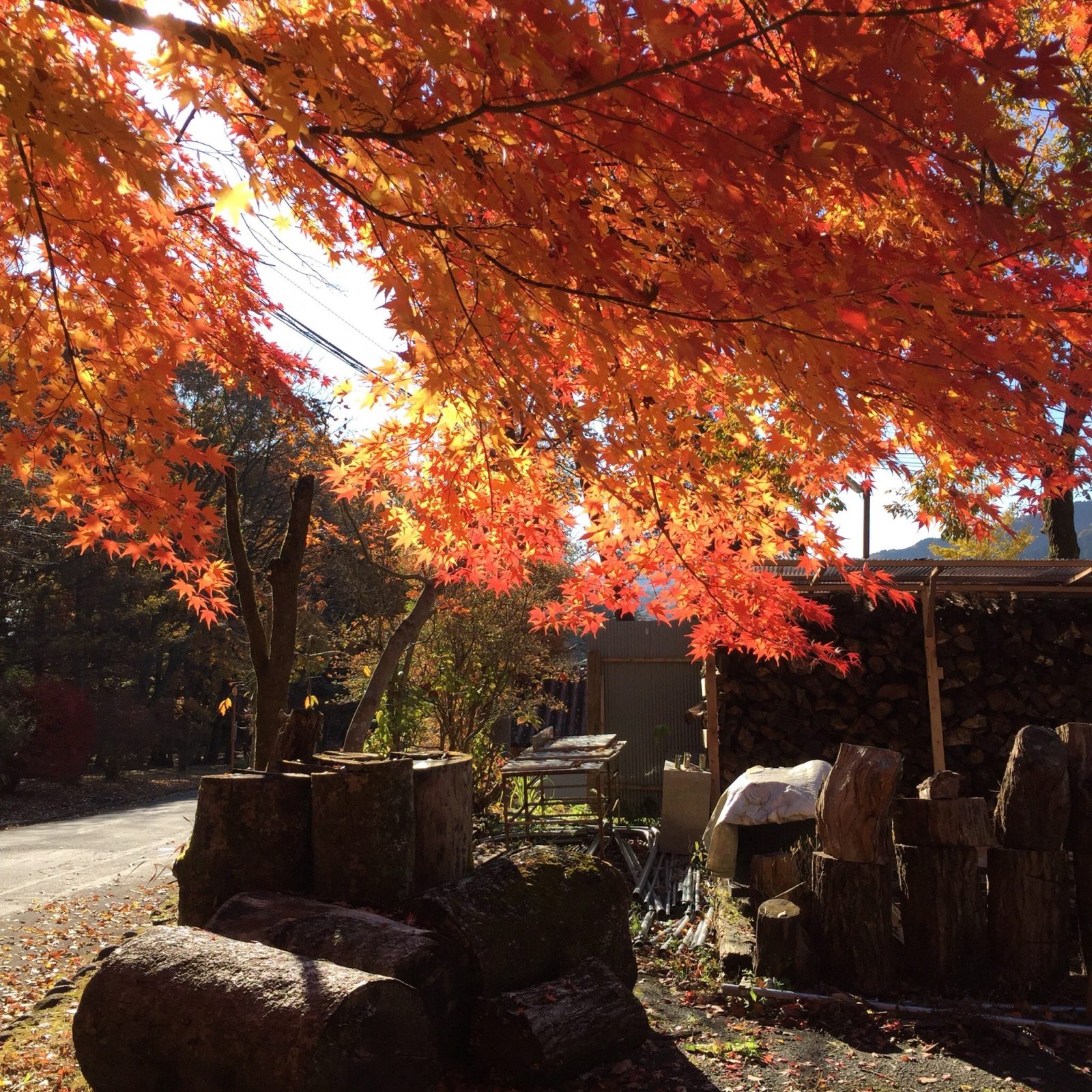 Nikko Park Lodge