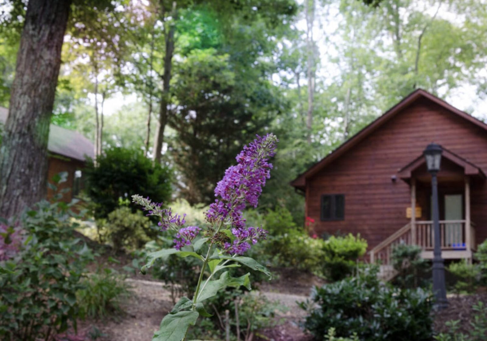 Asheville Cabins of Willow Winds