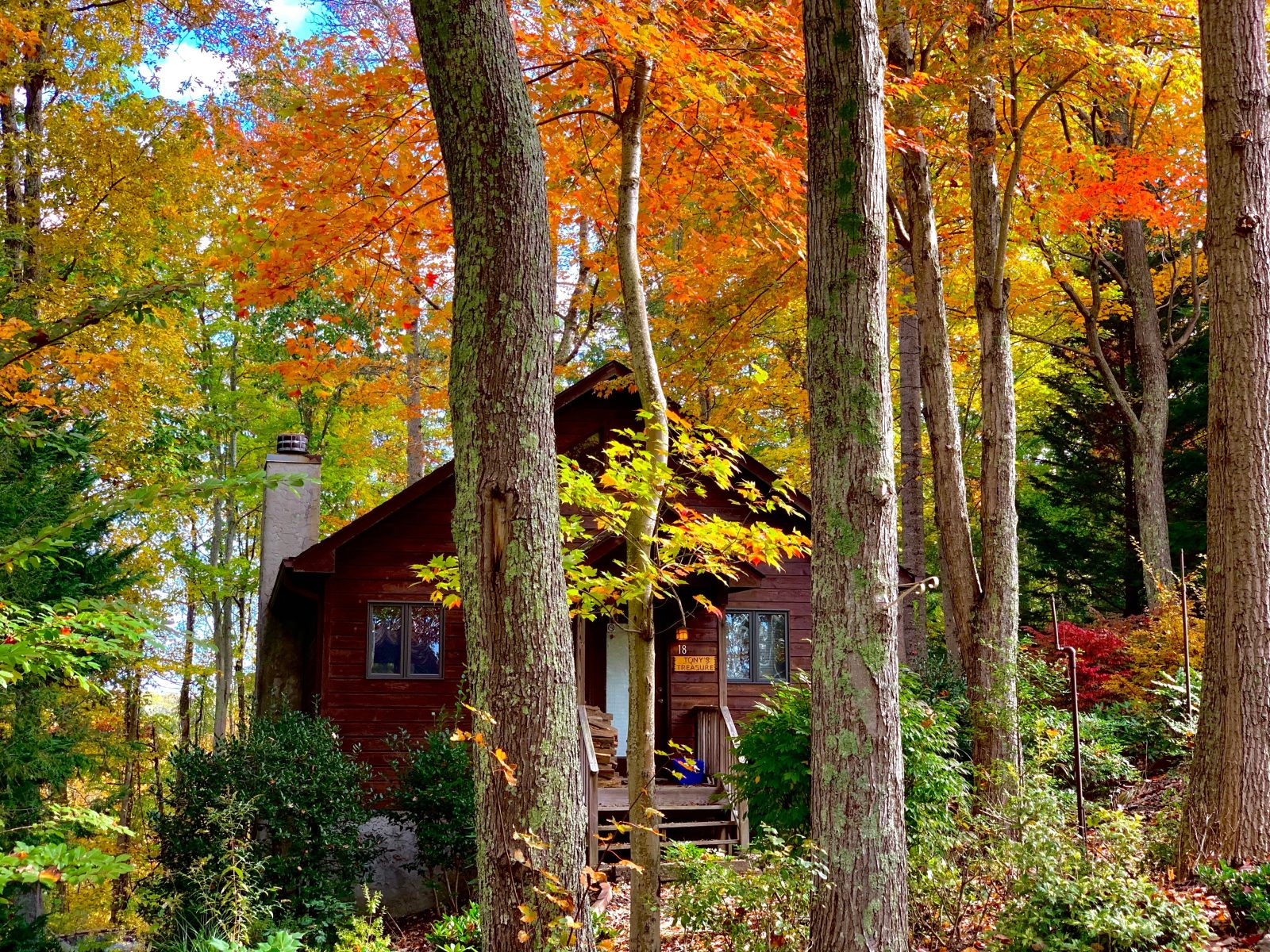 Asheville Cabins of Willow Winds