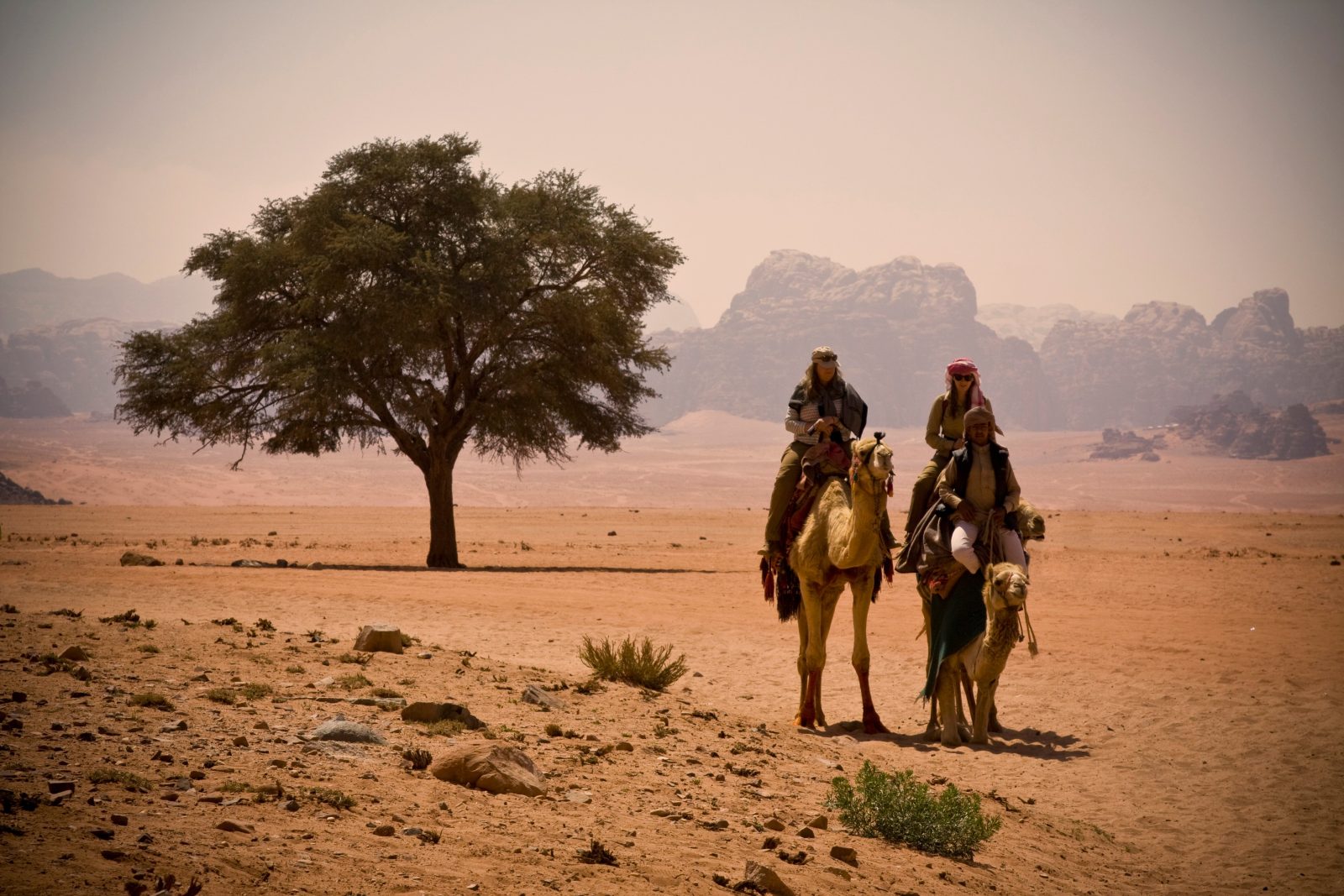 Wadi Rum Nature Tours