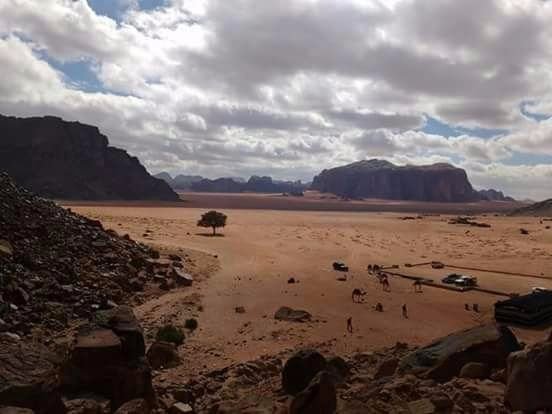 Wadi Rum Nature Tours