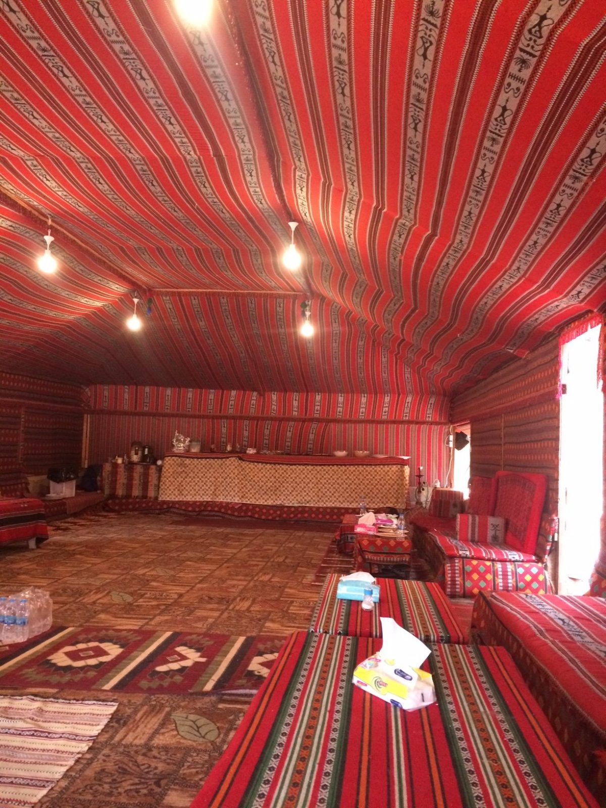Wadi Rum Nature Tours