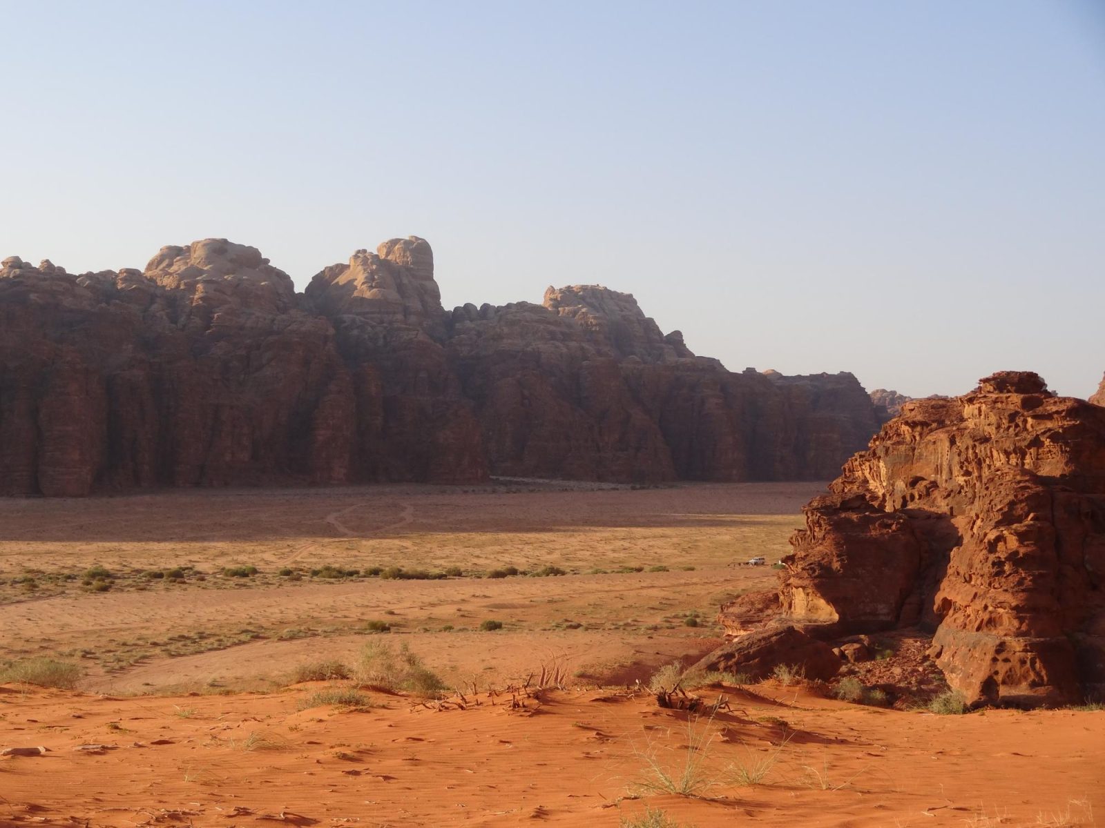 Wadi Rum Nature Tours