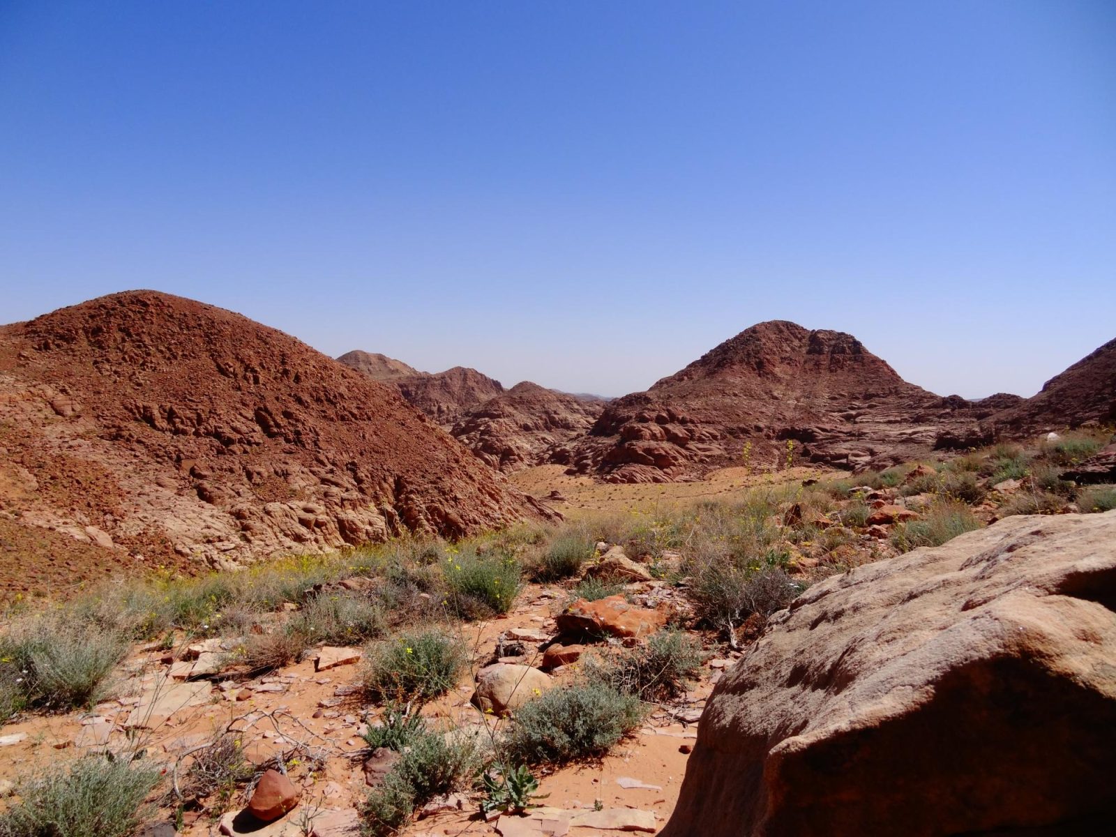 Wadi Rum Nature Tours