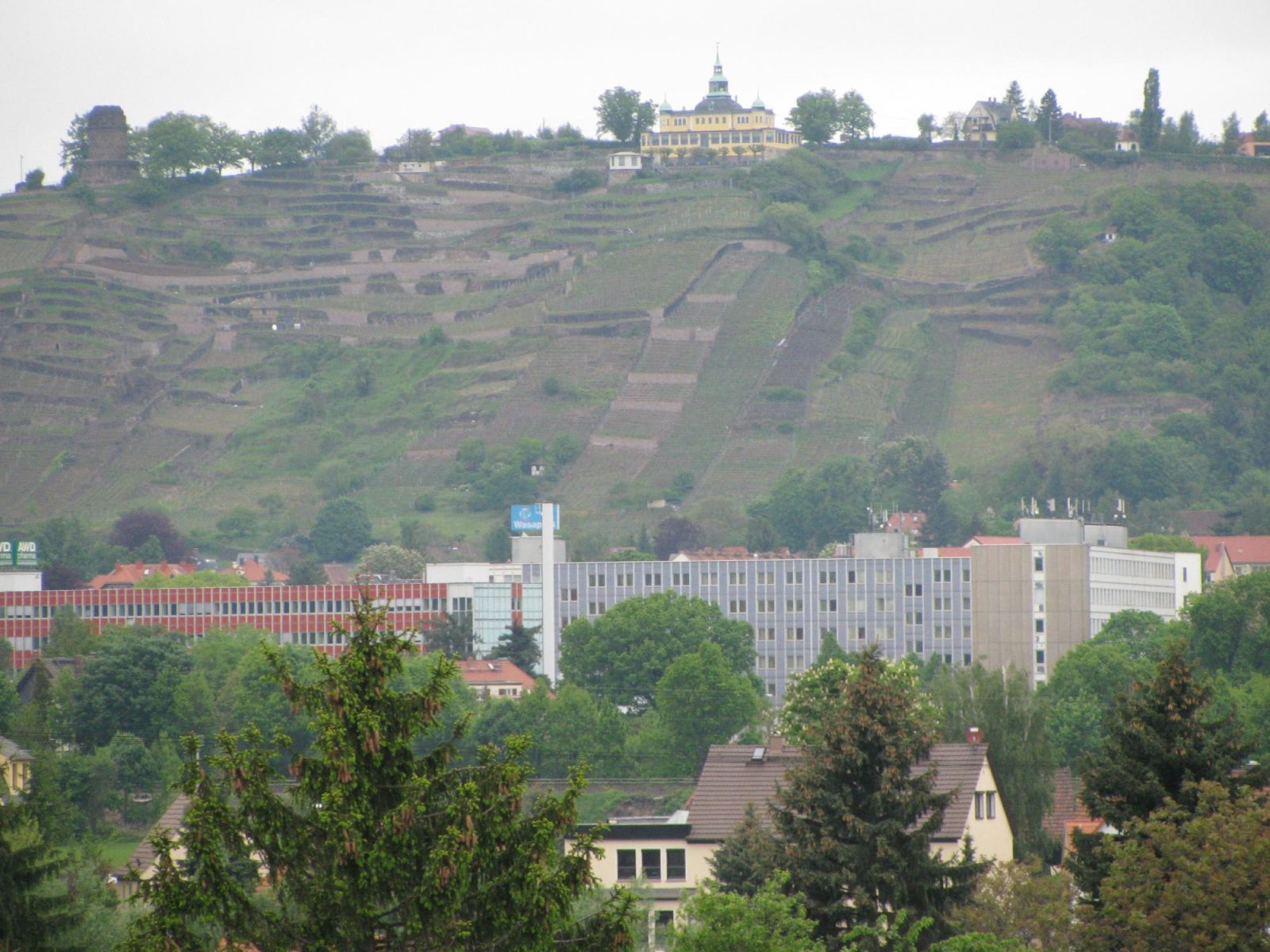 Hotel Adler Dresden
