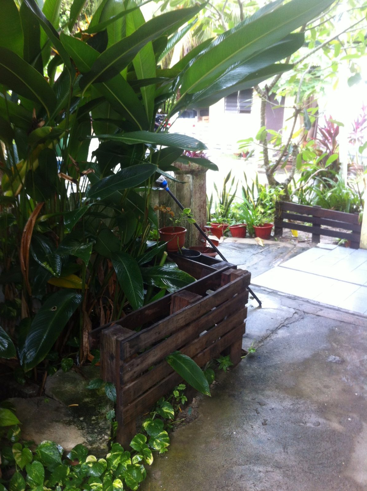 Zackry Guesthouse