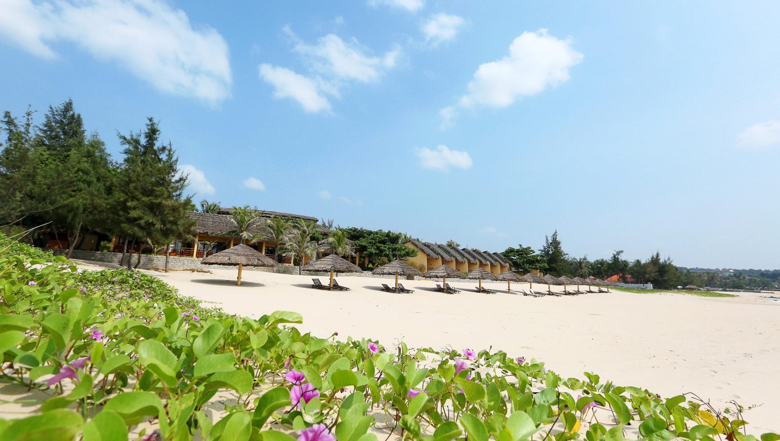 white sands hotel phan thiet