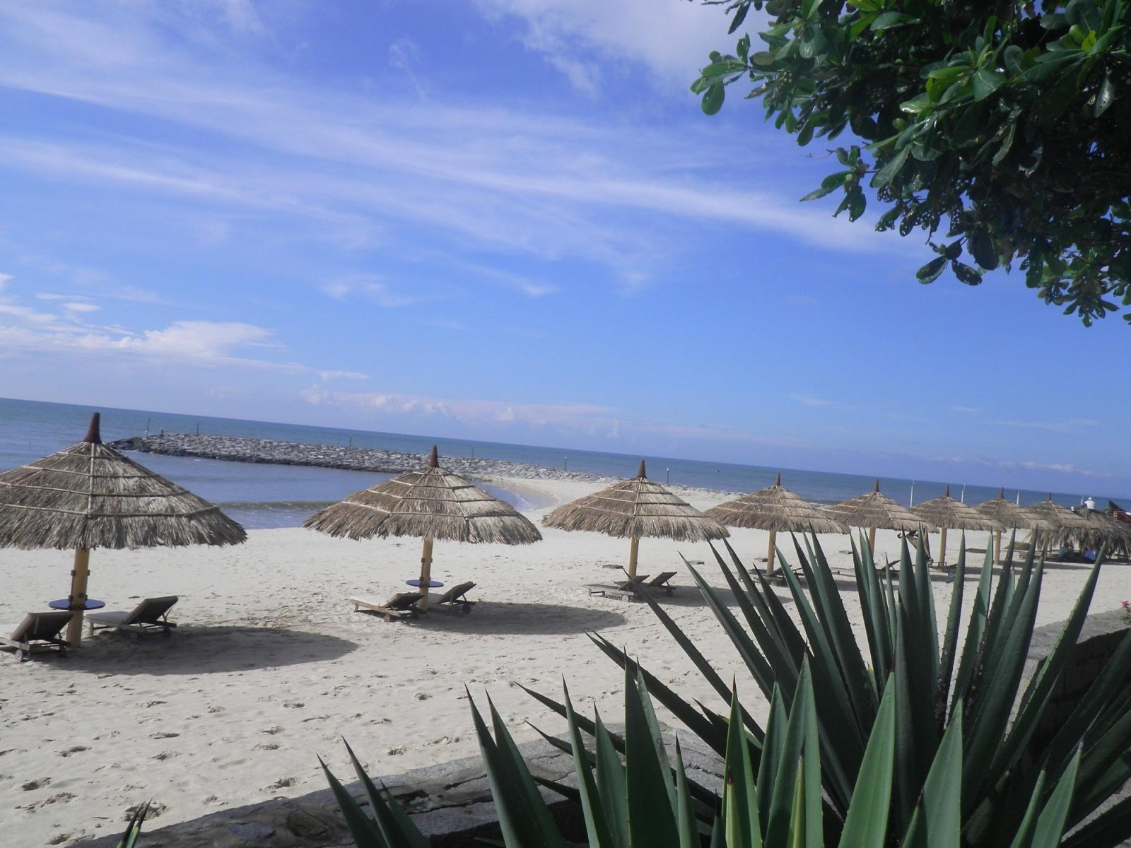 white sands hotel phan thiet